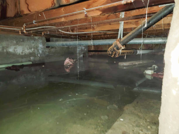 Best Water damage cleanup near me  in Mannford, OK