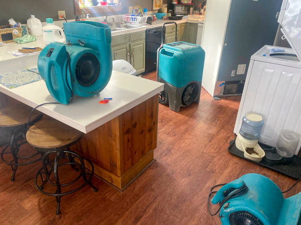 Best Professional water damage repair  in Mannford, OK