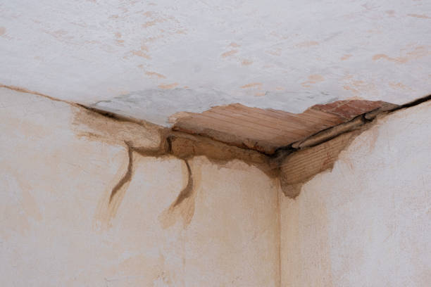 Best Emergency water extraction  in Mannford, OK