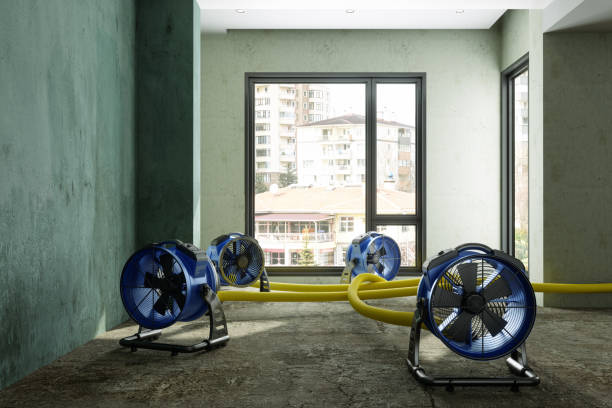Best Commercial water damage restoration  in Mannford, OK